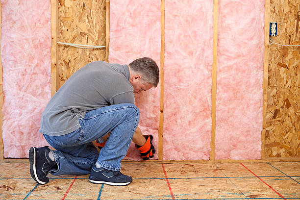 Best Commercial Insulation Services  in Clarksville, TN